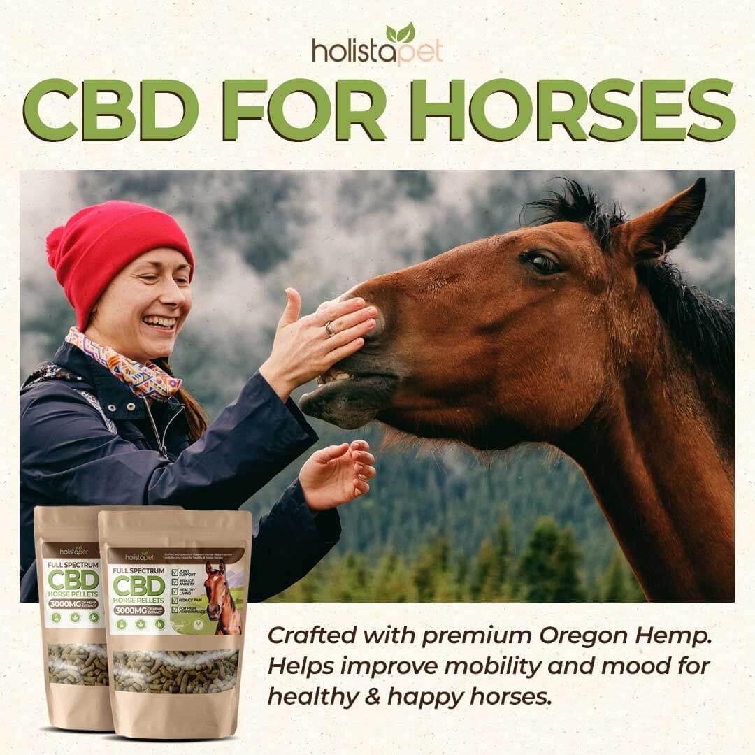Order Holistapet CBD Pellets for Horses 3000mg Online CBDivine