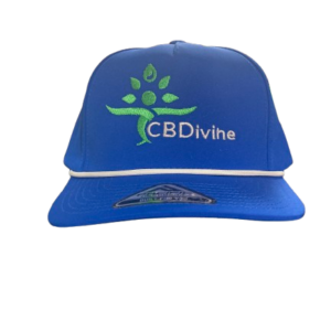 CBDivine Logo Hat