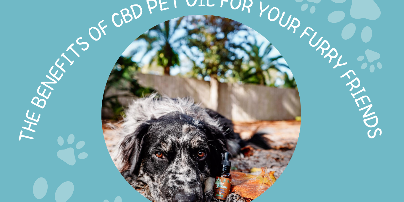 CBD Pet Oil CBD Pet Oil