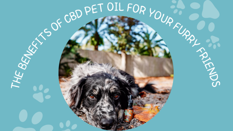CBD Pet Oil CBD Pet Oil