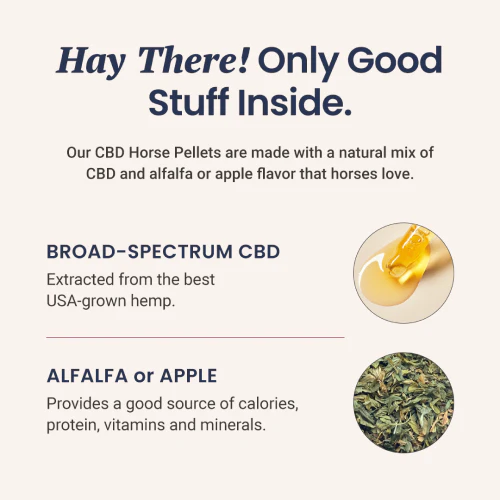 Holistapet CBD Pellets for Horses – 3000mg - Image 3