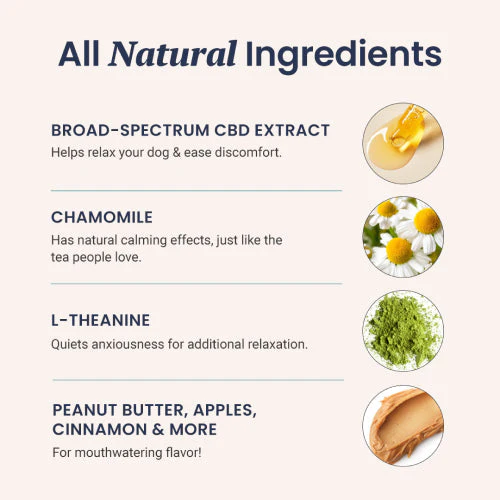 Holistapet CBD Dog Treats + Stress and Anxiety Relief - Image 3