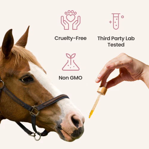 Holistapet CBD Pellets for Horses – 3000mg - Image 5