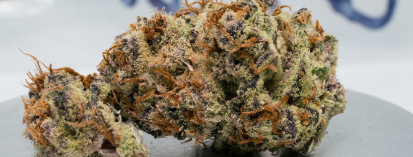 How To Use THCA Flower