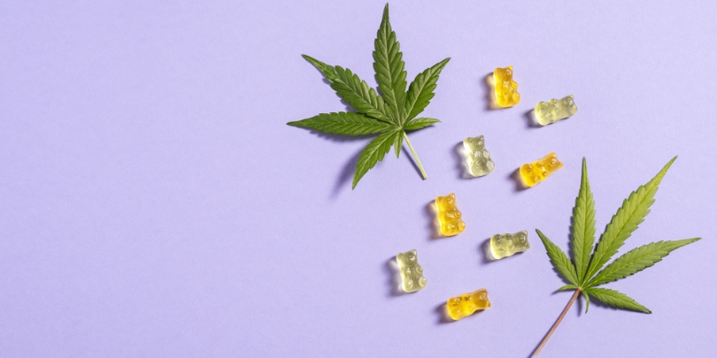 CBD Gummy Dosage Guide – How Many CBD Gummies Should I Eat CBD Gummy Dosage Guide - How Many CBD Gummies Should I Eat