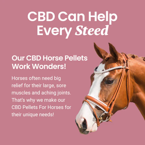 Holistapet CBD Pellets for Horses – 3000mg - Image 12