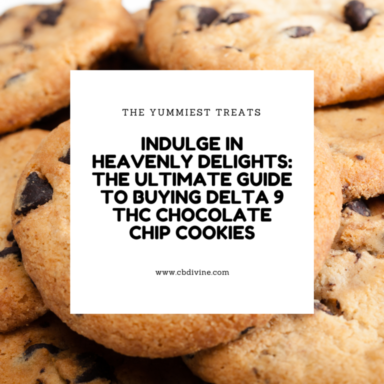 Chocolate Chip Cookies Social Media Graphic