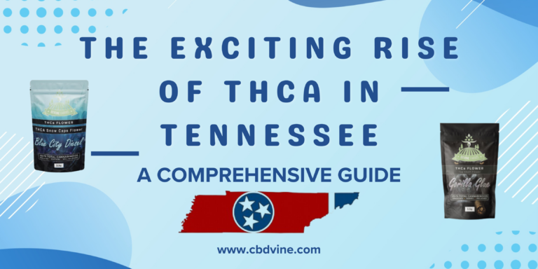 Blue Gradient Modern Welcome To Our Shop Banner