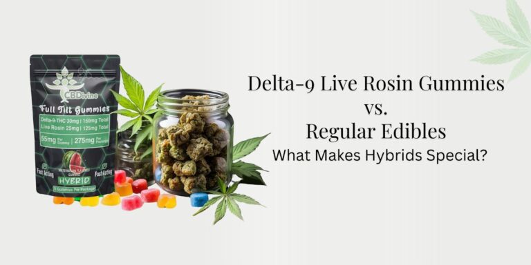 Delta-9 Live Rosin Gummies vs. Regular Edibles- What Makes Hybrids Special?
