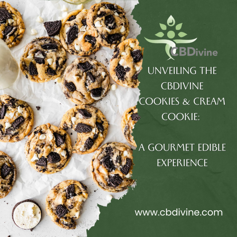 Green Pine Brush Photo Frame Travel Discover New Places Instagram Post