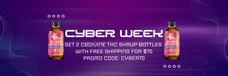 Purple and Blue Gradient Coming Soon Email Header (2)