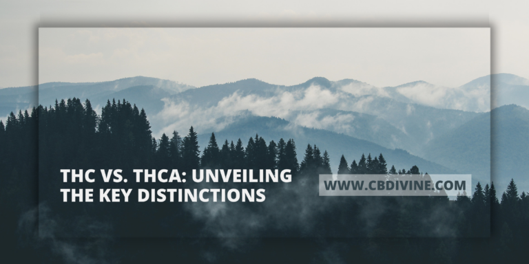 THC vs. THCA Unveiling the Key Distinctions