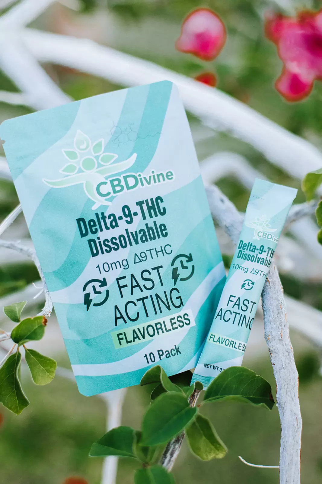 CBDivine Delta-9-THC Dissolvable - 10mg - Image 5