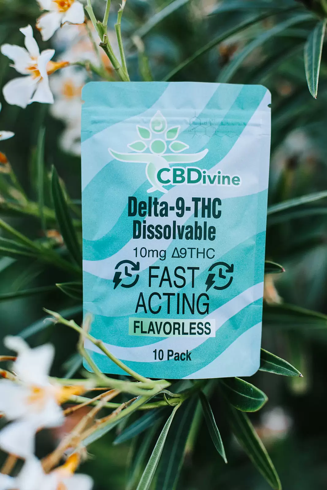 CBDivine Delta-9-THC Dissolvable - 10mg - Image 7