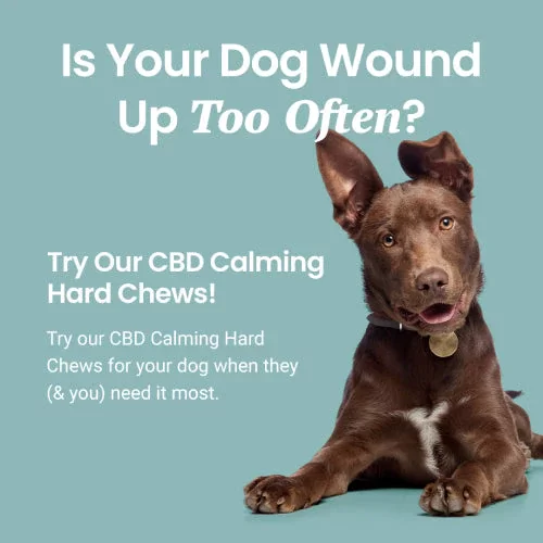 Holistapet CBD Dog Treats + Stress and Anxiety Relief - Image 6