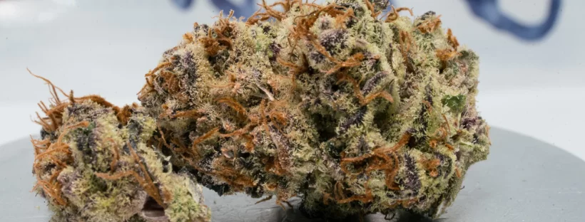 How To Use THCA Flower