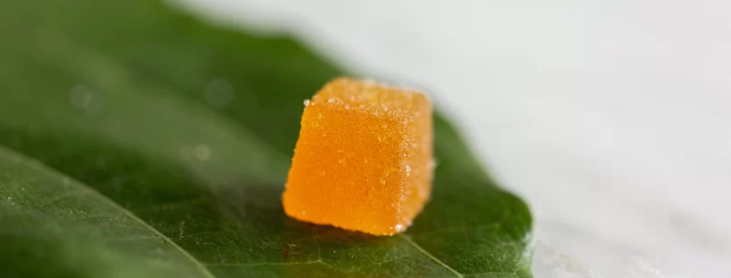 CBD Gummies Special Considerations