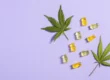 CBD Gummy Dosage Guide - How Many CBD Gummies Should I Eat