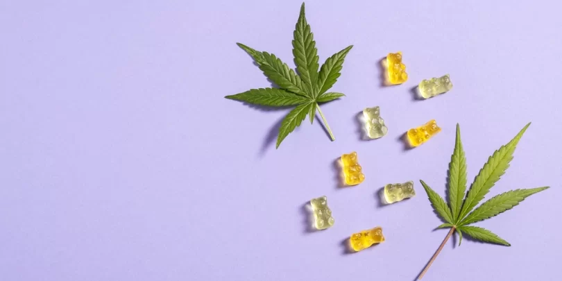 CBD Gummy Dosage Guide – How Many CBD Gummies Should I Eat CBD Gummy Dosage Guide - How Many CBD Gummies Should I Eat