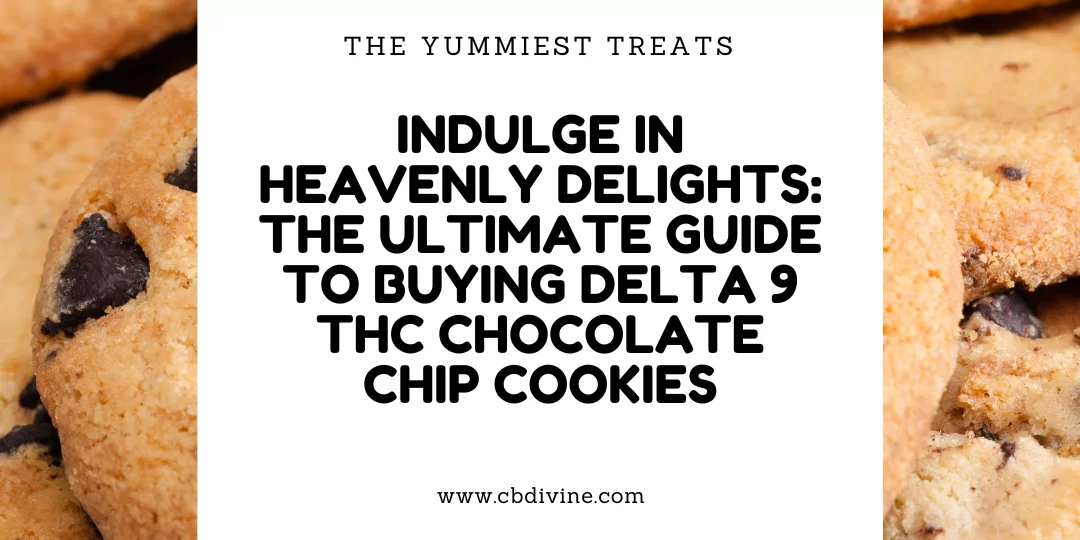 Chocolate Chip Cookies Social Media Graphic