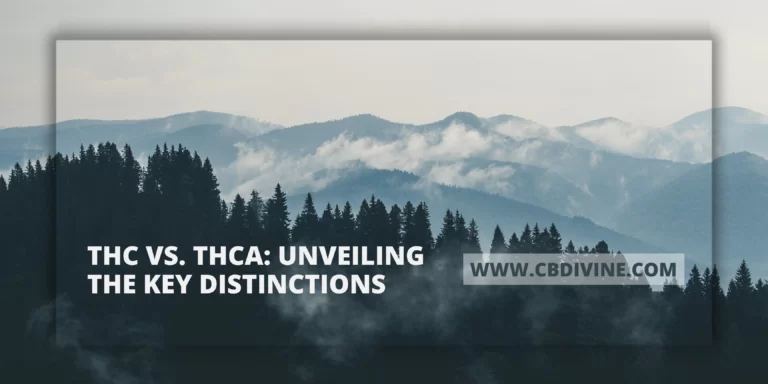THC vs. THCA Unveiling the Key Distinctions